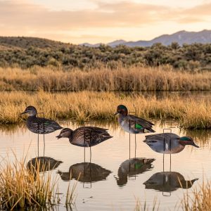 Core Green Wing Teal Decoys