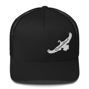 6 panel snap back white logo hate