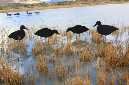 Core All Black Duck Silhouettes