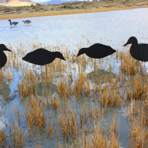 Core All Black Duck Silhouettes