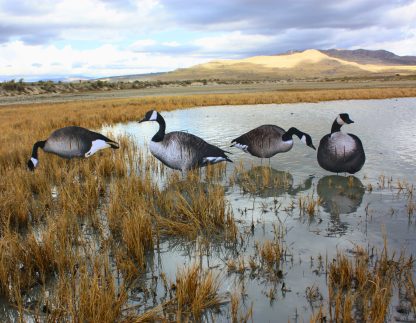 Immortal Series Canada Goose Decoys
