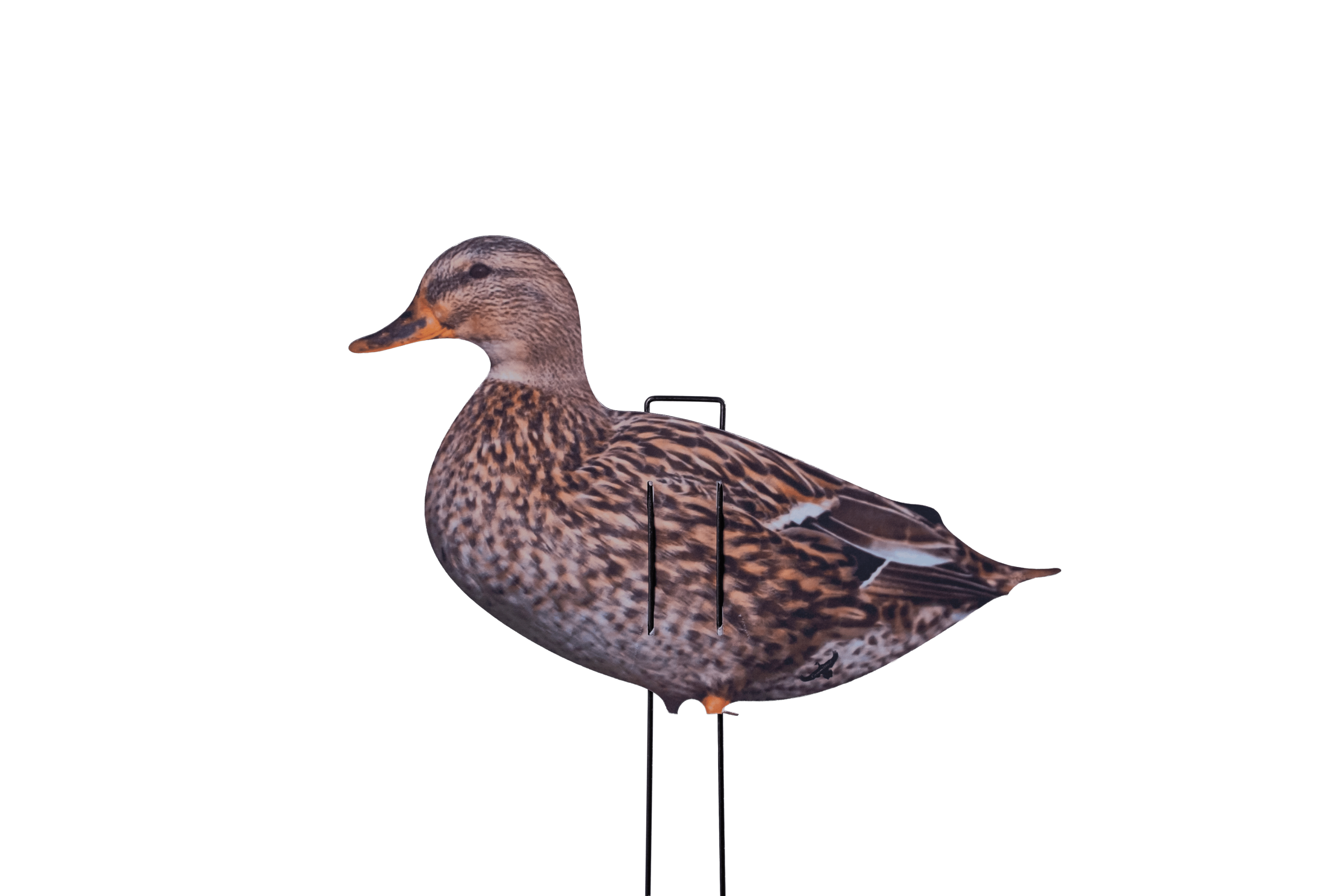 Immortal Series Mallard Duck Decoys - Image 2