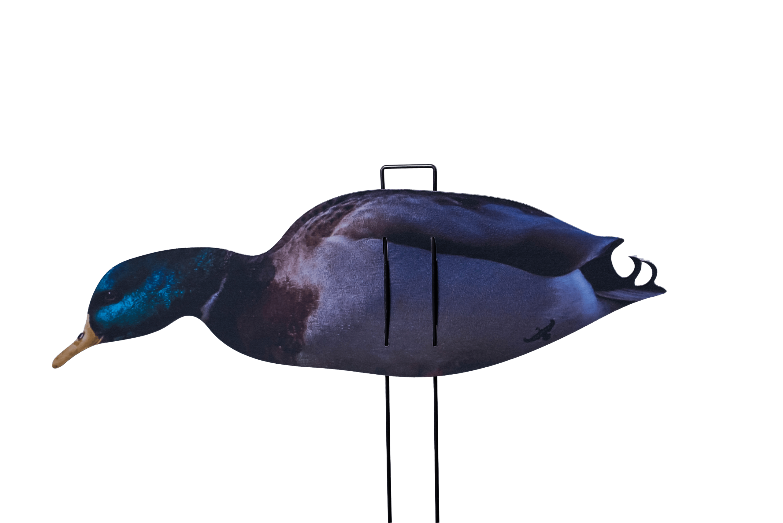Immortal Series Mallard Duck Decoys - Image 5