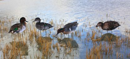 Immortal Series Green Wing Teal Decoys