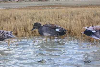 Immortal Series Gadwall Decoys - Image 3