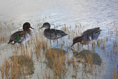 Immortal Series Green Wing Teal Decoys - Image 2