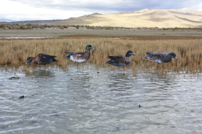Immortal Series Wigeon Decoys - Image 2