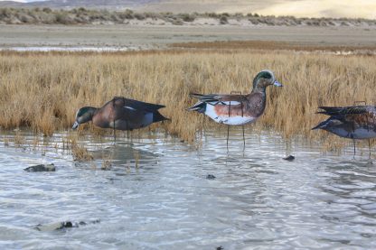 Immortal Series Wigeon Decoys - Image 3
