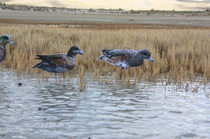 Immortal Series Wigeon Decoys - Image 4