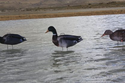 Immortal Series Mallard Duck Decoys - Image 4
