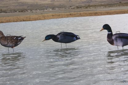 Immortal Series Mallard Duck Decoys - Image 5