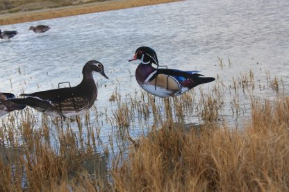 Immortal Series Wood Duck Decoys - Image 2