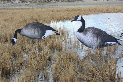 Immortal Series Canada Goose Decoys - Image 6