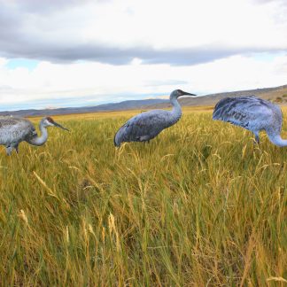 Core Series Sandhill Crane (Fully Flocked)