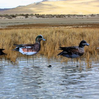 Immortal Series Wigeon Decoys