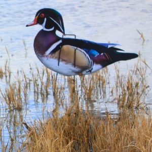 Immortal Series Wood Duck Decoys