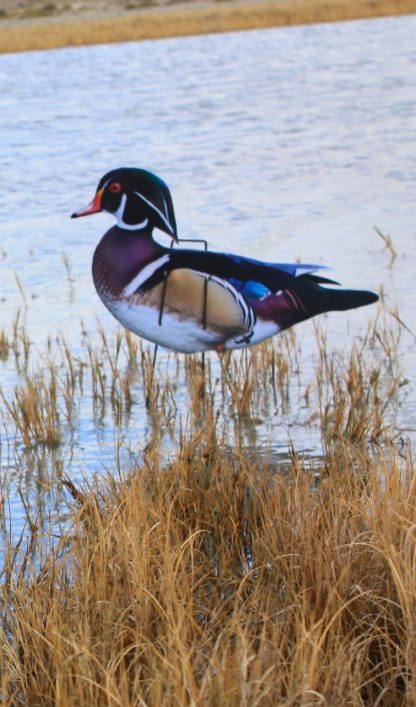 Immortal Series Wood Duck Decoys