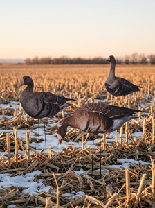 Immortal Series Specklebelly Goose Decoys
