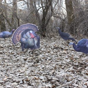 Immortal Series Turkey Decoys