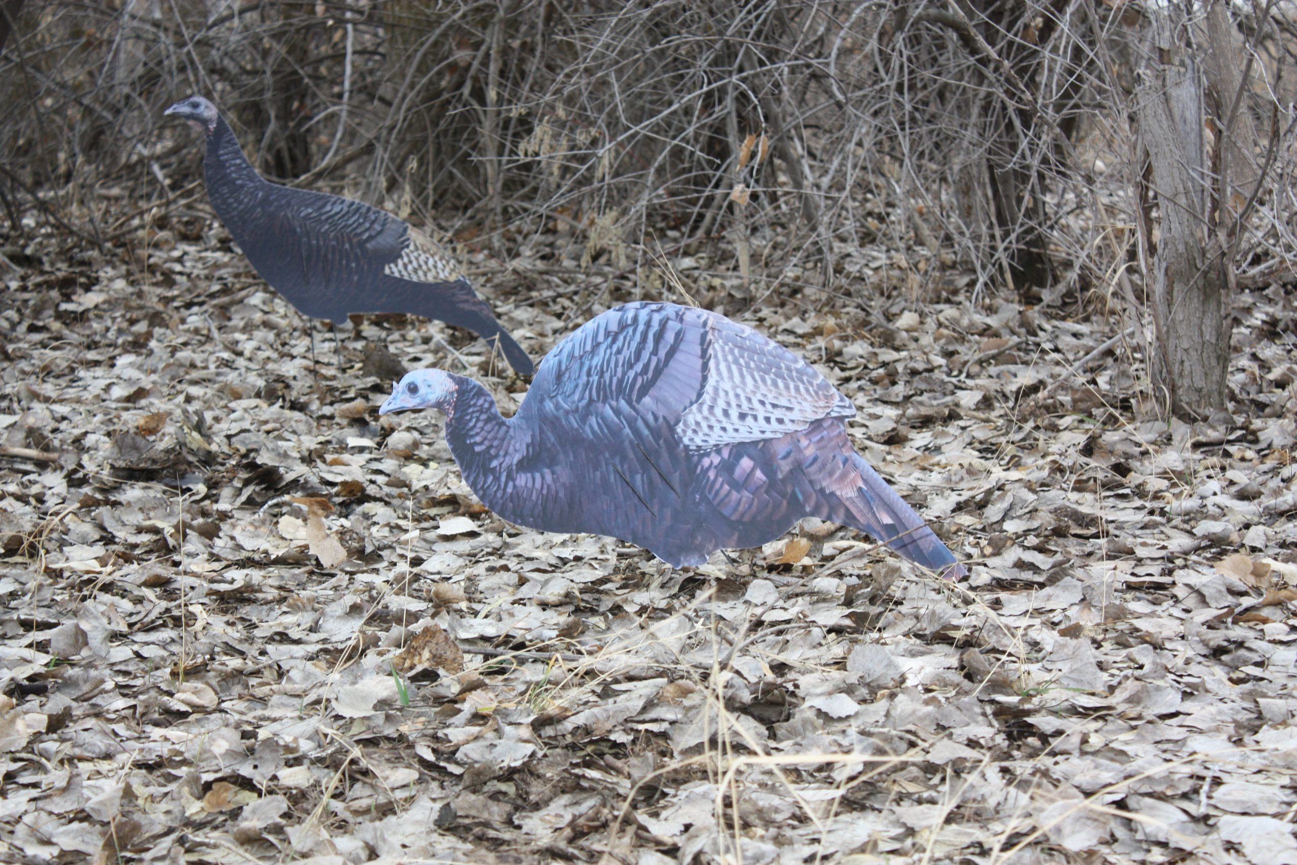 Immortal Series Turkey Decoys - Image 2