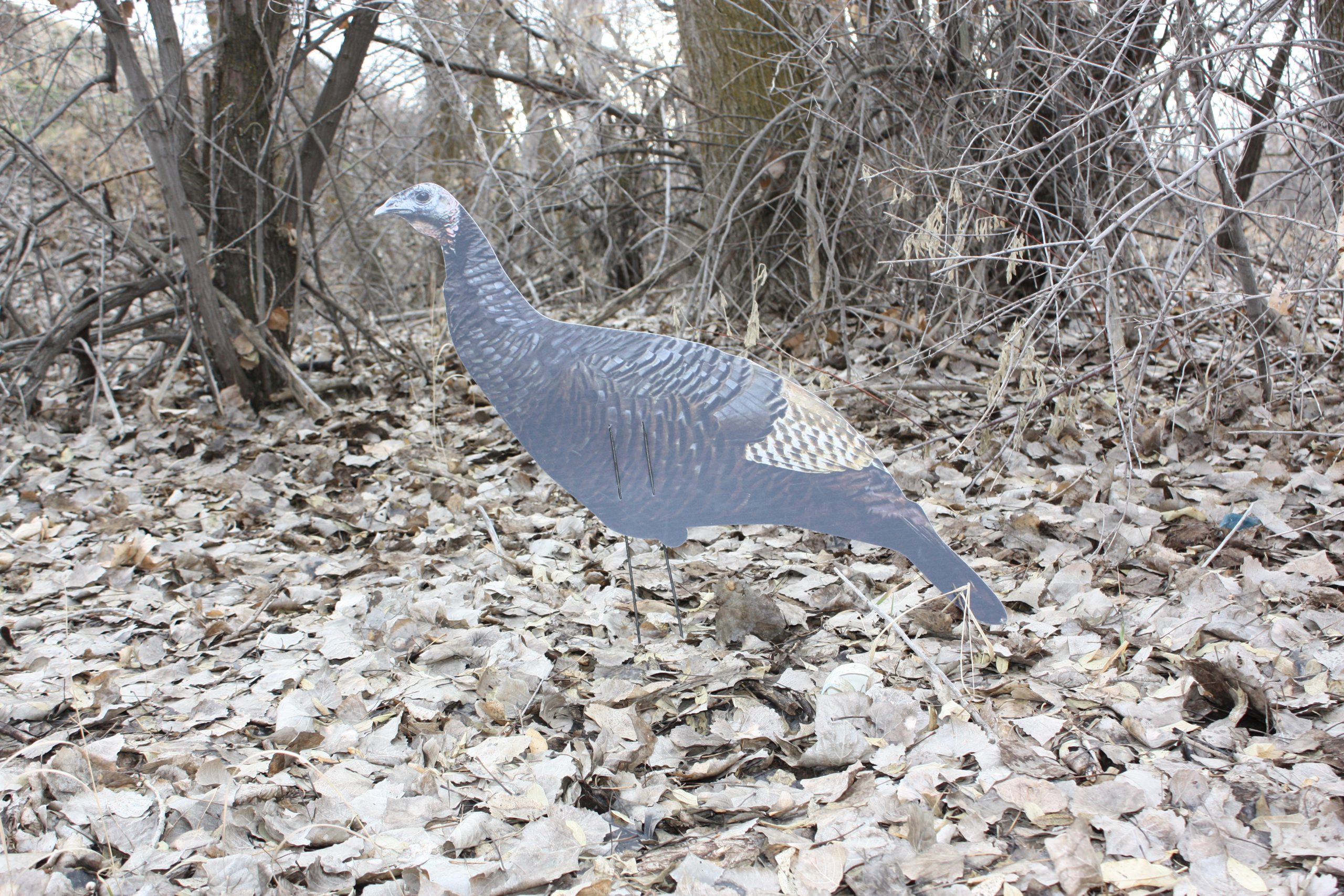 Immortal Series Turkey Decoys - Image 4