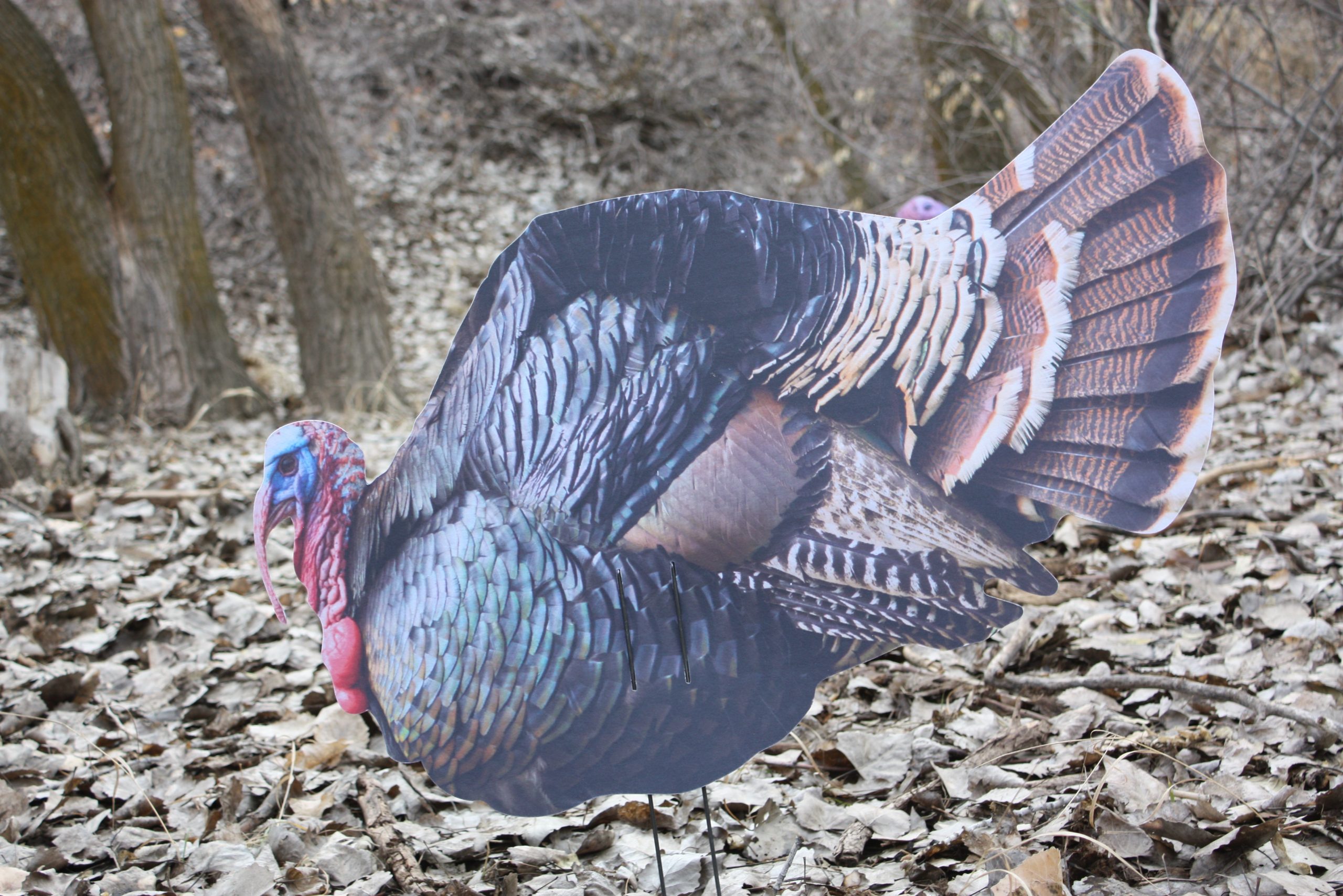 Immortal Series Turkey Decoys - Image 7