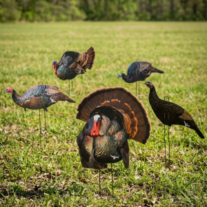 Immortal Series Turkey Decoys